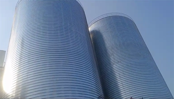 拜城2座混凝土高架卷板仓